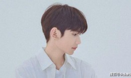 网红爆料王源视频大全最新,揭秘网红爆料背后的精彩瞬间